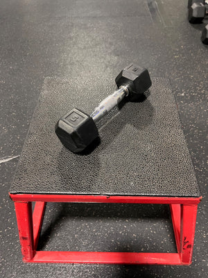 5LB Dumbbell