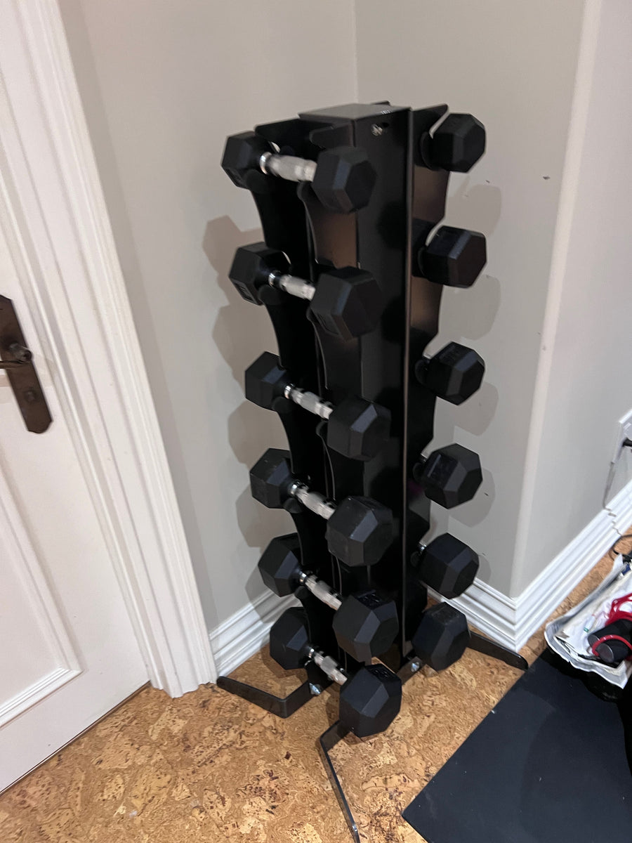 Dumbbell Rack + 6 Pairs of Dumbbells (150 lbs total) Sell My Stuff