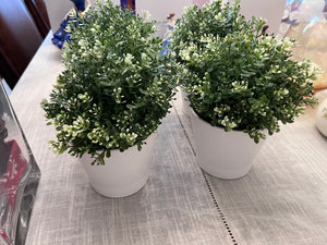 4 IKEA Papaja Plant Pots
