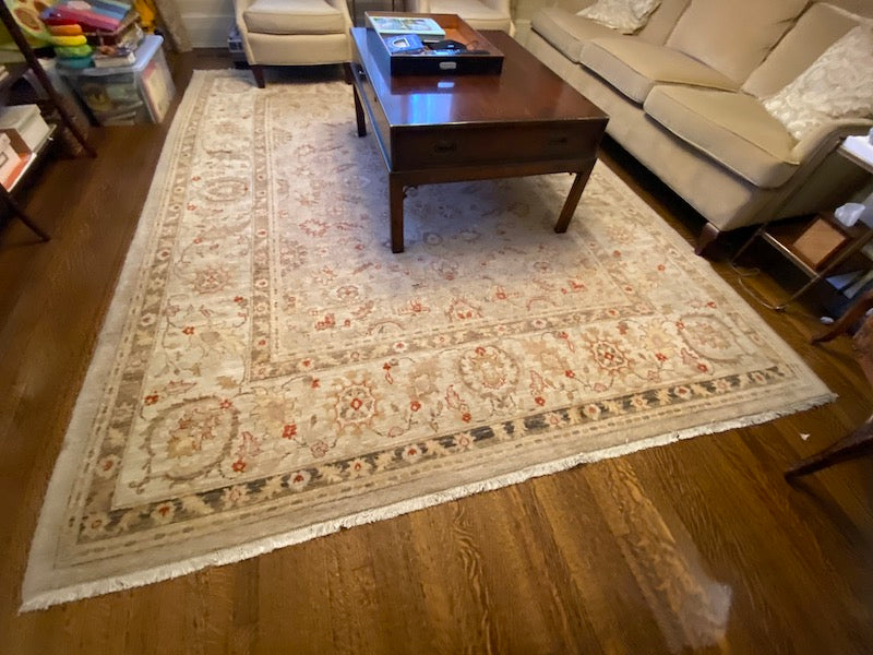 100 Wool Beige Rug from ELTE 8ft x 10ft Sell My Stuff Canada Canada's Content and Estate