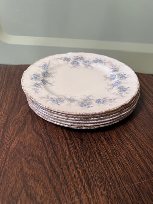 6 Paragon 'Remember Me' Plates