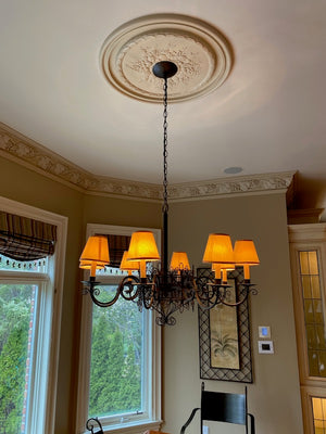 8 Light/Shade Metal Light Fixture