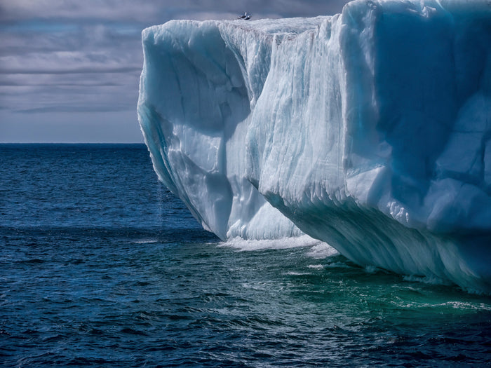 Lori Ryerson Fine Art Photography 'Evanescence', Newfoundland (framed- acrylic glass) 30" x 40"