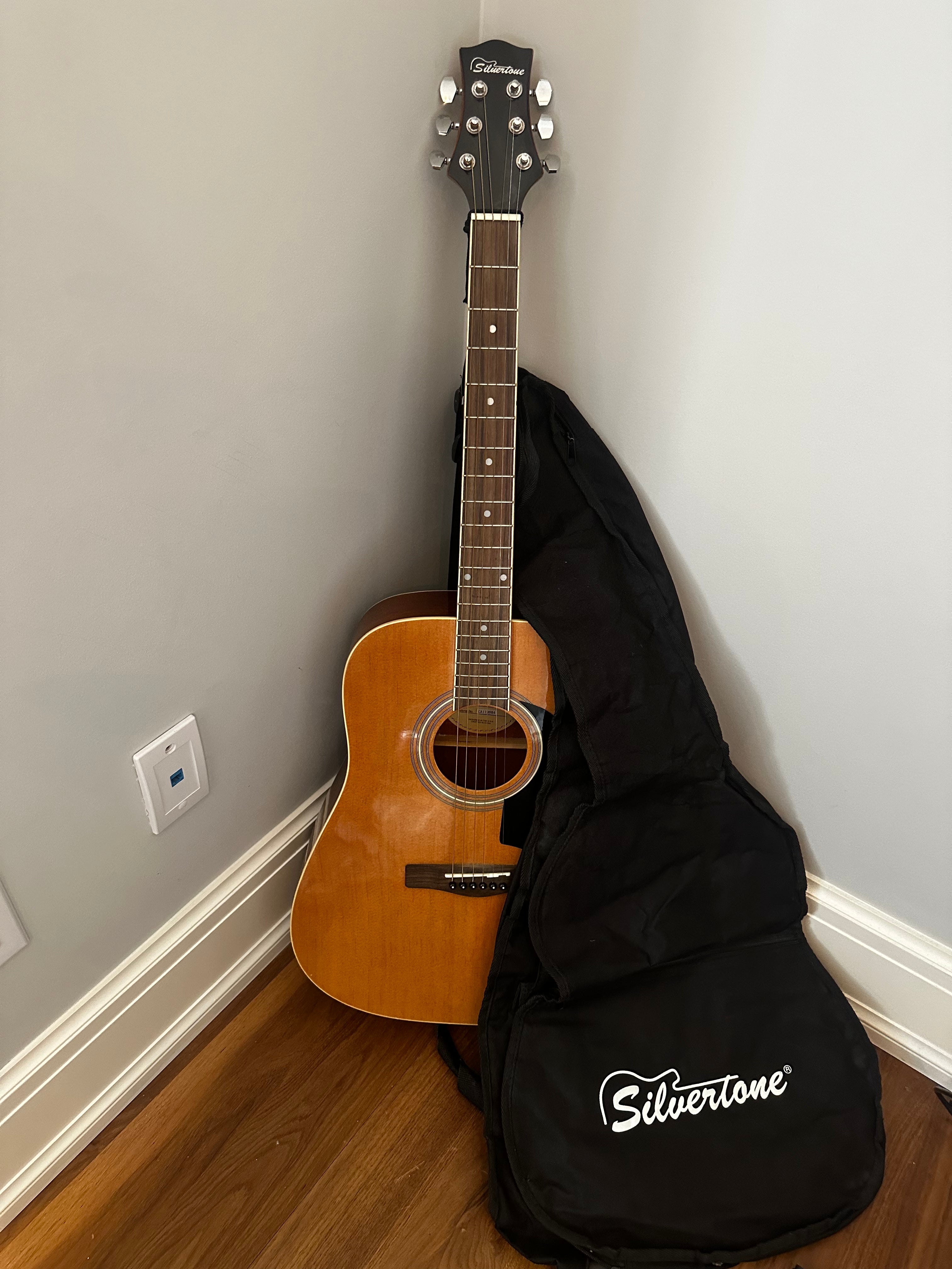 【Singer】Acoustic Imagine Series P01 Silvertone Pro Series Accoustic Guitar – Sell My Stuff