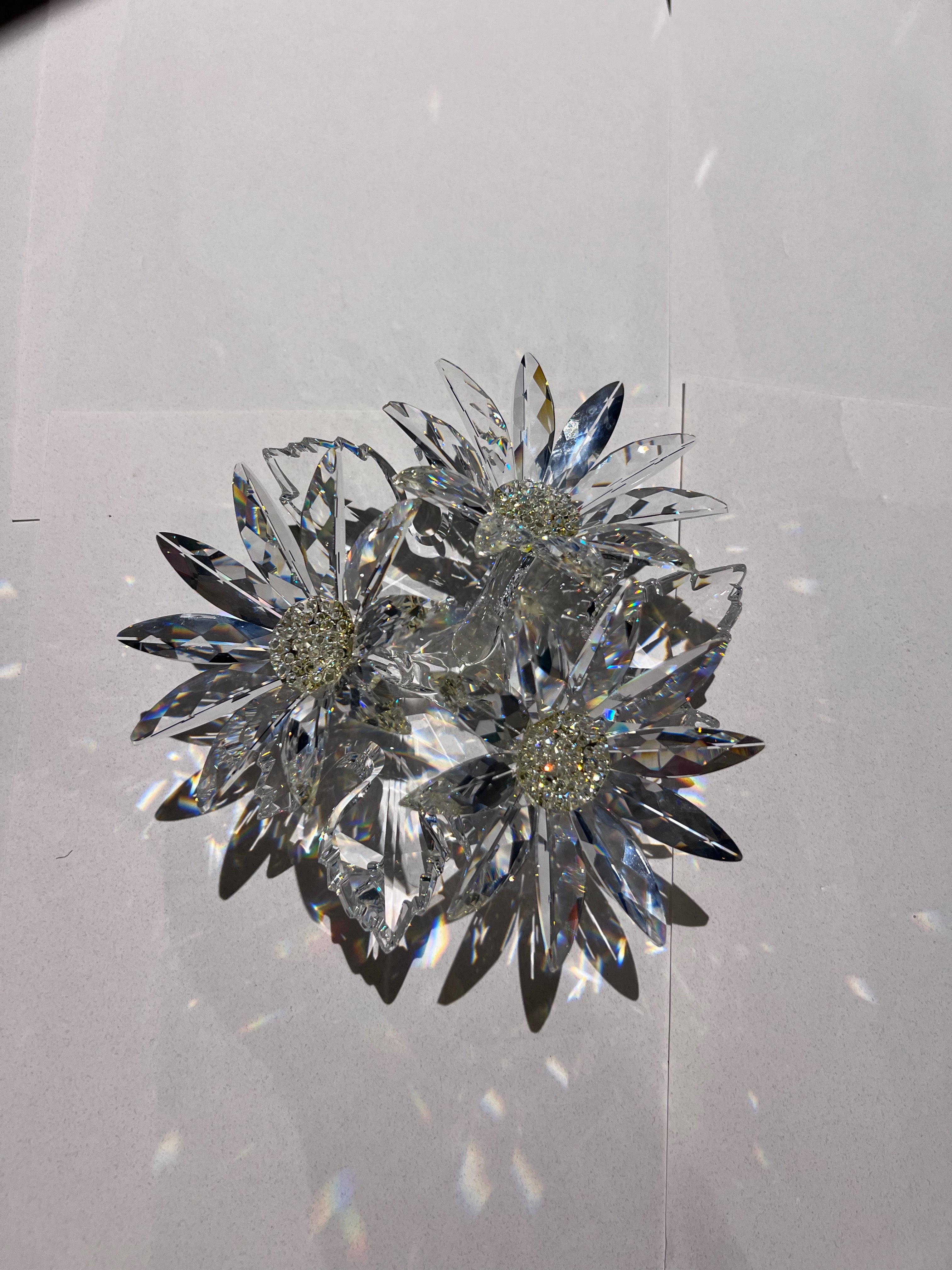 Swarovski Crystal 252976 