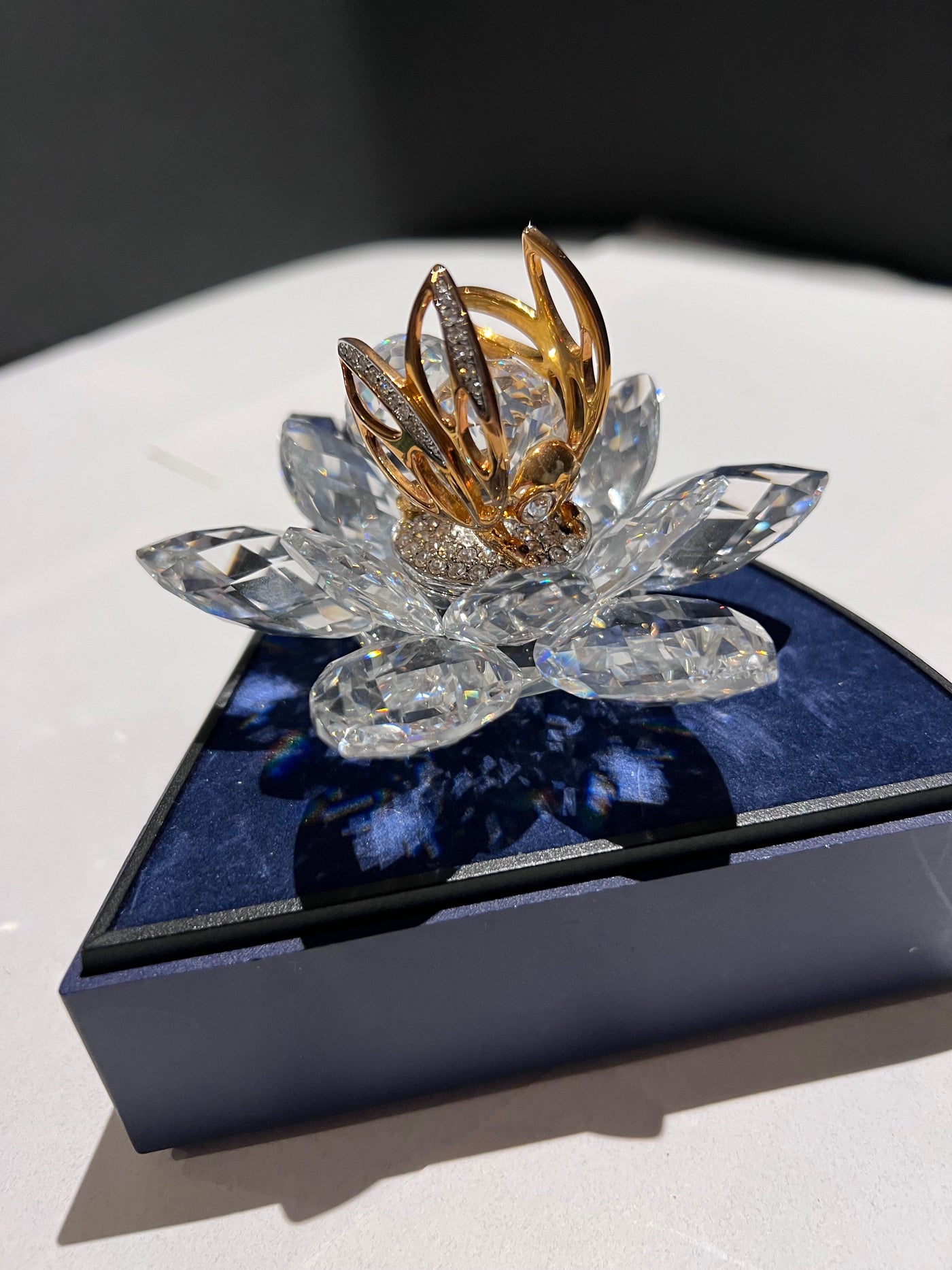 Swarovski Crystal 7553 NR 100 