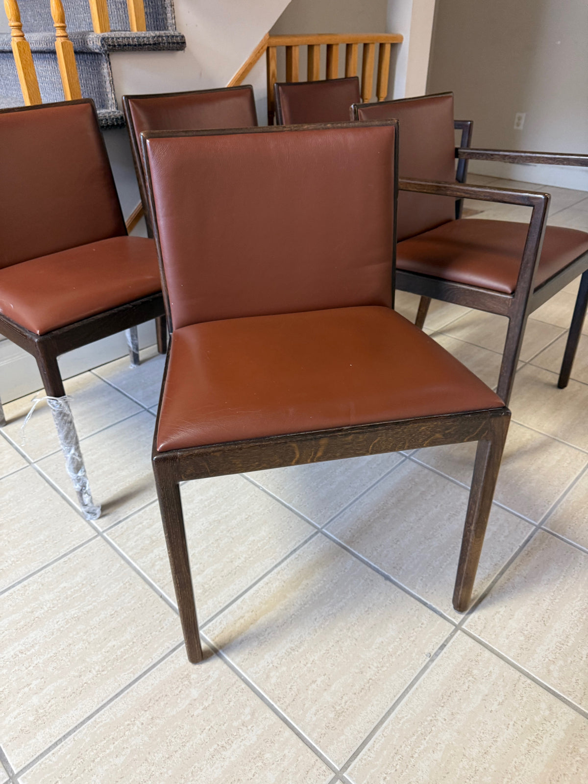 Set of 5 'Andreu World' Leather Chairs