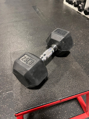 25LB Dumbbell