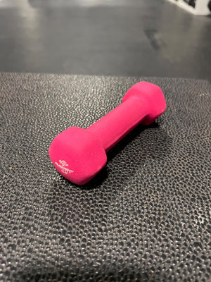 Element Fitness 1LB Neoprene Pink Dumbbell