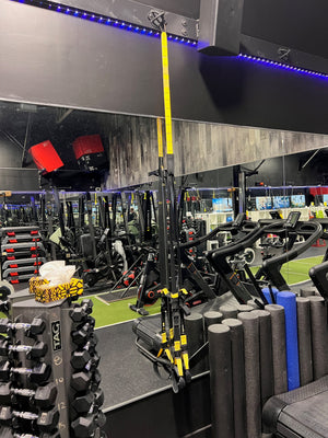 TRX Suspension Trainer