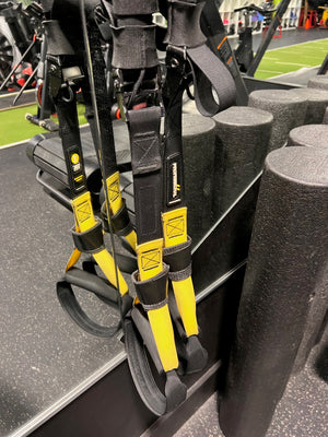 TRX Suspension Trainer