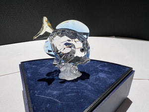 Swarovski Crystal 886180 Blue Tang Fish # 2
