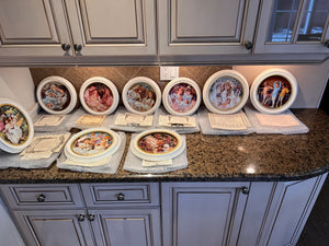 9 Framed Collector Plates Lot (with certificates)