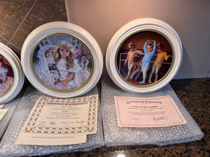 9 Framed Collector Plates Lot (with certificates)