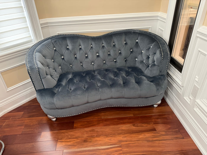Glory Furniture Apollo Velvet Love Seat