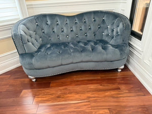 Glory Furniture Apollo Velvet Love Seat