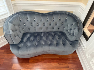 Glory Furniture Apollo Velvet Love Seat