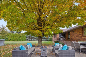 Patio Sofa + 2 Club Chairs + Fire Table