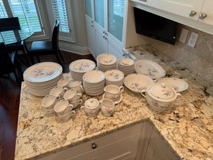 Versatone by Noritake 'Floating Garden'- Service for 12 Dinnerware