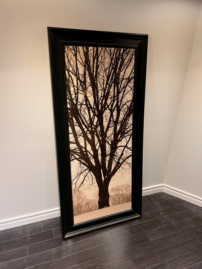 Wall Art Tree Photo