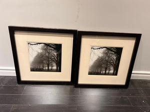 Wall Art Photograph Foggy Trees (*2 available- sold individually- select quantity)
