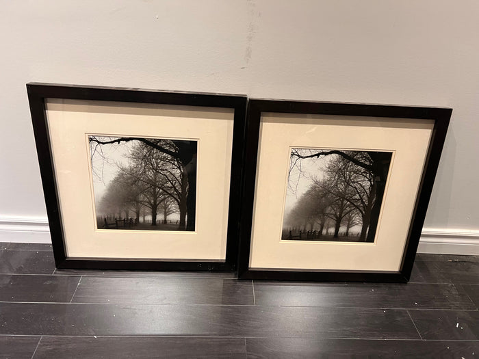 Wall Art Photograph Foggy Trees (*2 available- sold individually- select quantity)