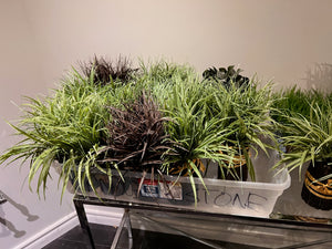 17pc Small Faux Plant Lot