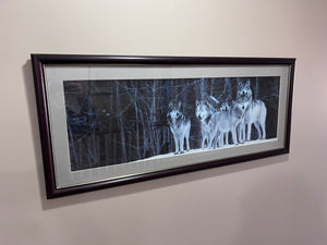 Wolves Framed Print