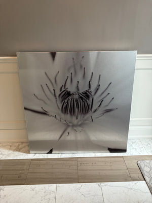 Celeste Brunel Photographic Art CB030