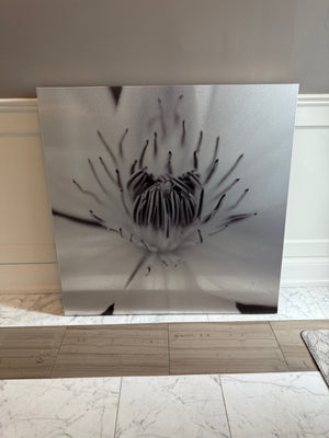 Celeste Brunel Photographic Art CB030