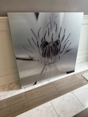 Celeste Brunel Photographic Art CB030