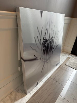 Celeste Brunel Photographic Art CB030