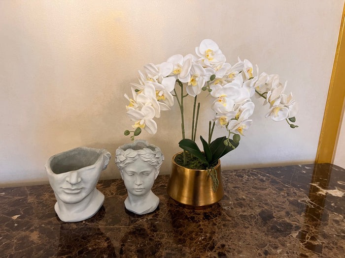 3pc Decor Lot