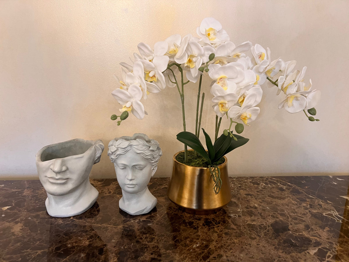 3pc Decor Lot