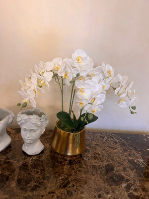 3pc Decor Lot