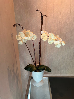 Barbara Barry Vase with Faux Plant