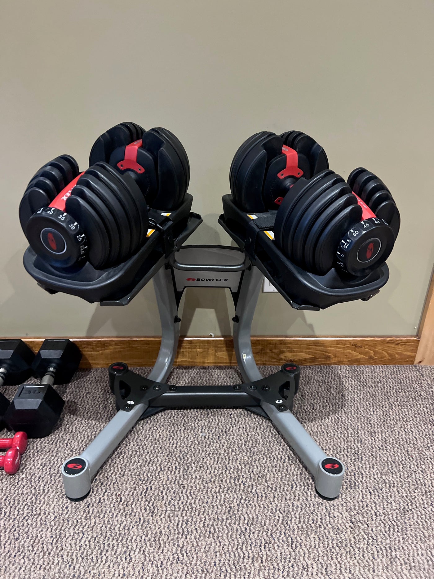 Standing Bowflex Bowflex SelectTech 552 Dumbbells with Stand – Sell My Stuff Canada ...