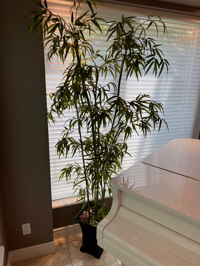 Artificial Potted Plant, 7ft