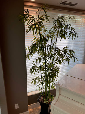 Artificial Potted Plant, 7ft
