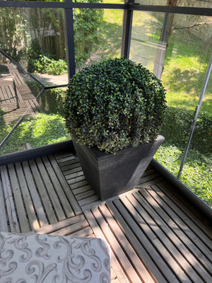 Pair of Outdoor Artificial Booxwood Plants with Planters