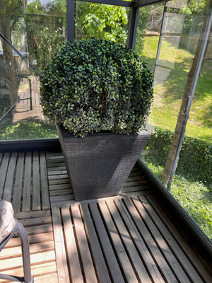 Pair of Outdoor Artificial Booxwood Plants with Planters