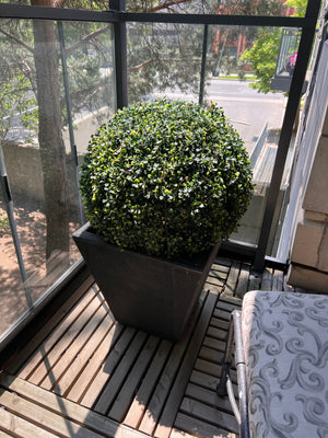 Pair of Outdoor Artificial Booxwood Plants with Planters