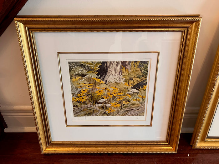 A.J. Casson 'Black Eyed Susans' 49/300 Limited Edition Print (COA Included)