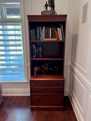 Bookcase with Filing Cabinet