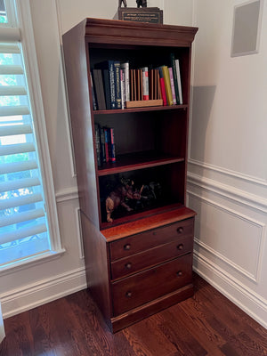 Bookcase with Filing Cabinet