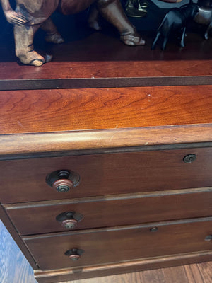 Bookcase with Filing Cabinet