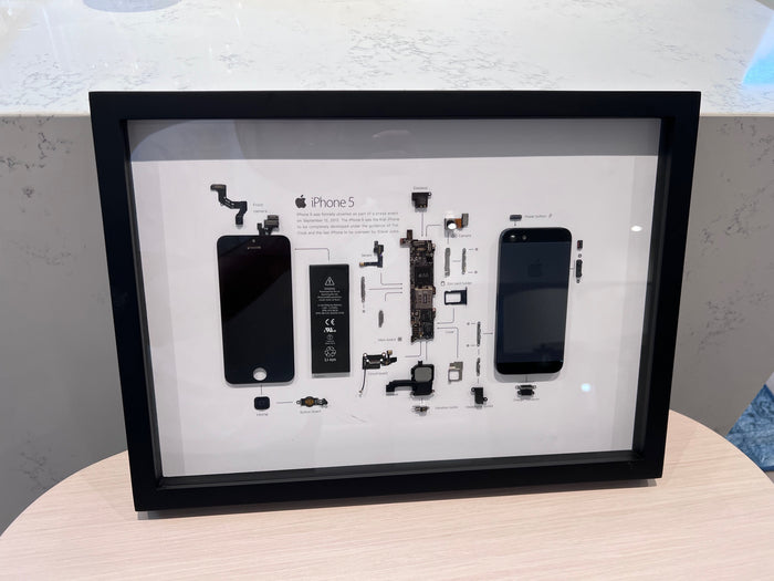 iPhone 5 Deconstructed Teardown Framed Art