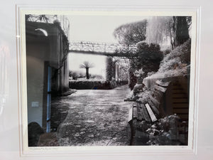 'Cimbrone #6' by Roy Barloga Signed Photograph