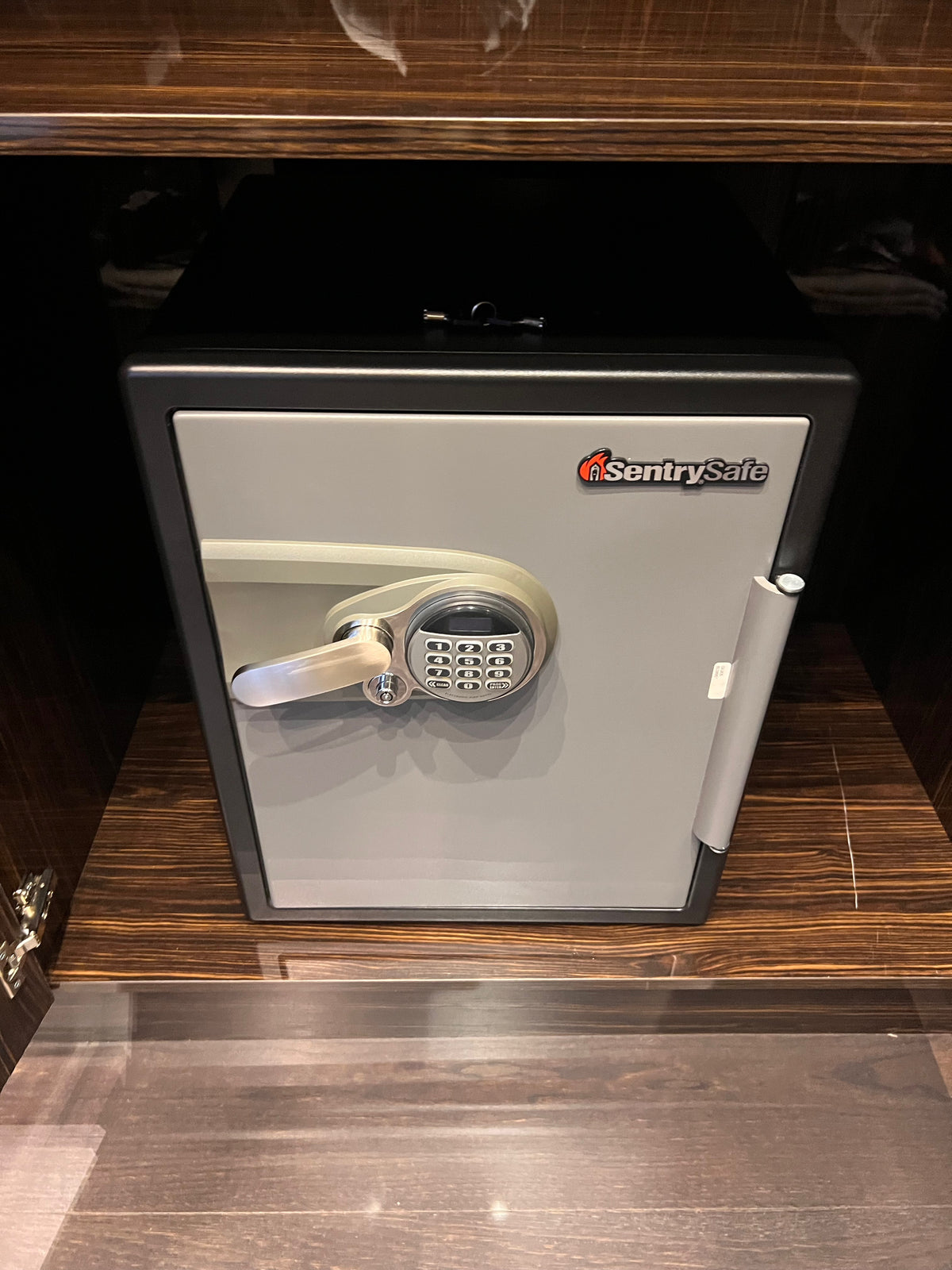 SentrySafe 2.0 Cu Ft Electronic Advanced Safe