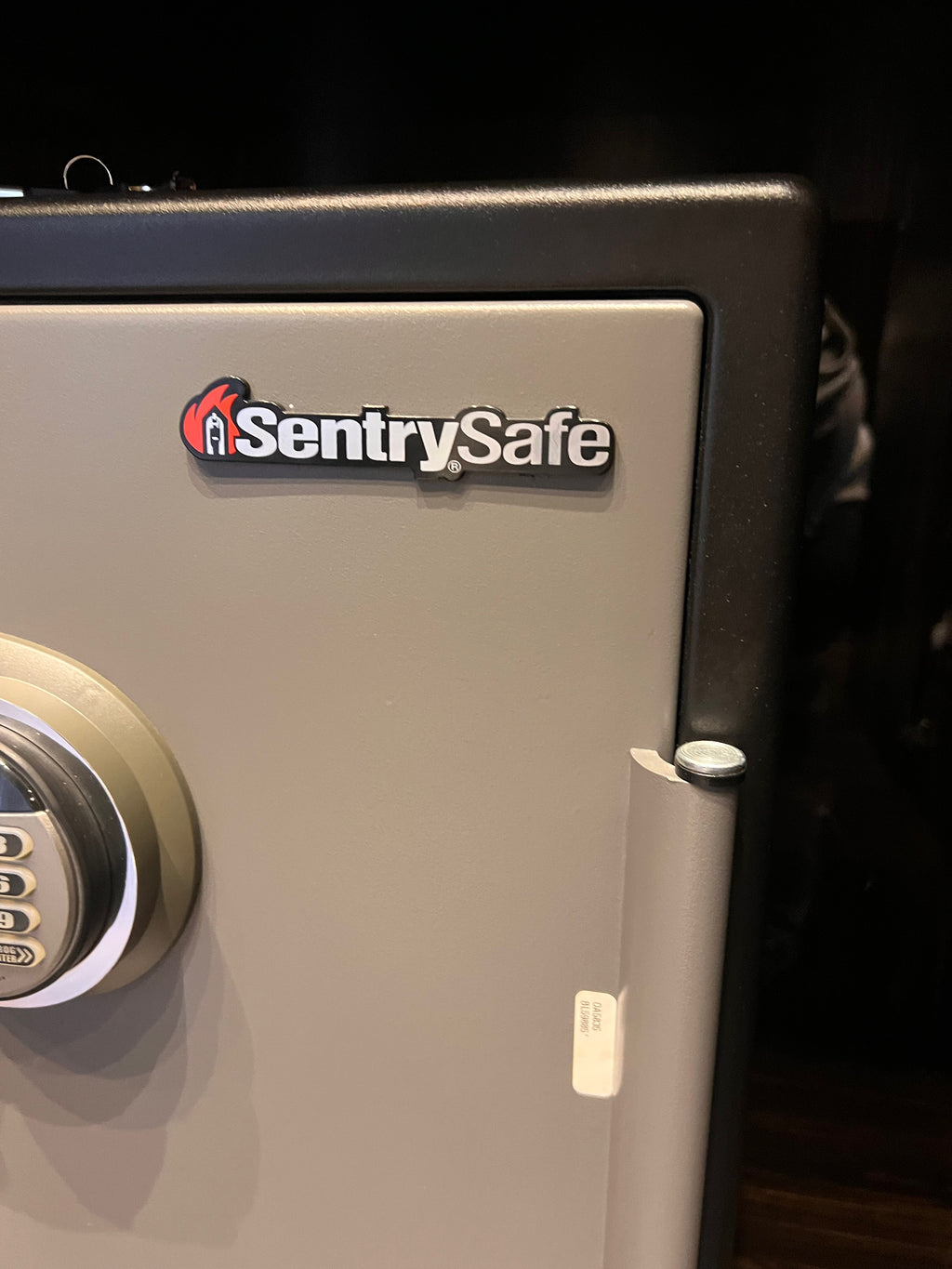 SentrySafe 2.0 Cu Ft Electronic Advanced Safe